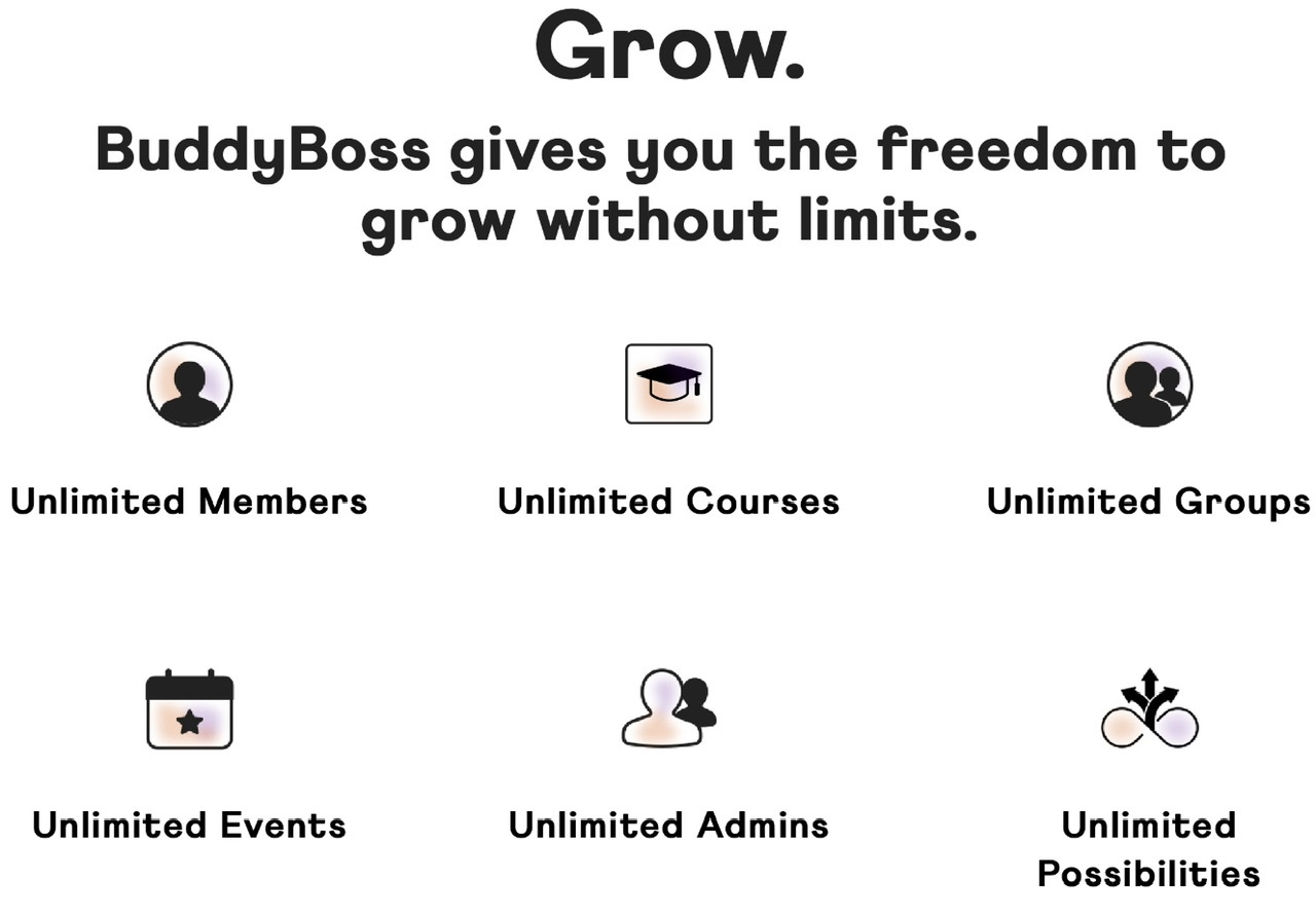 Buddyboss review 2024