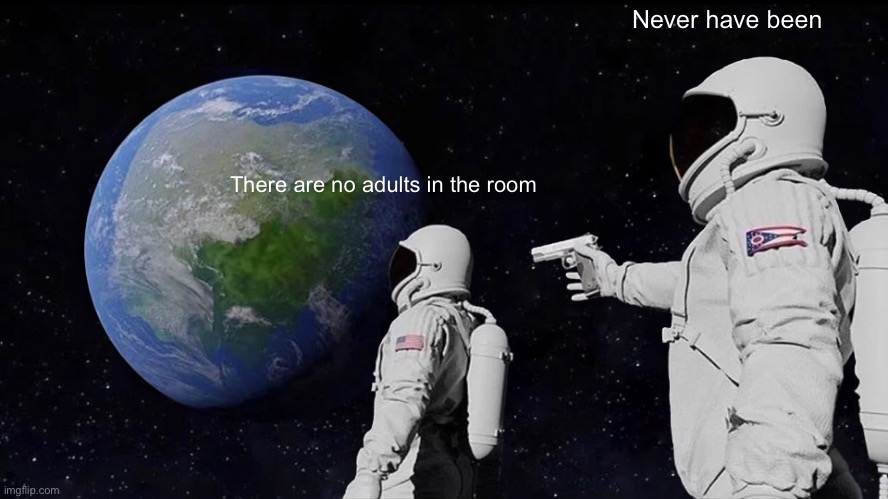 No Adults in The Room