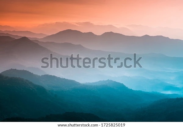 Shutterstock