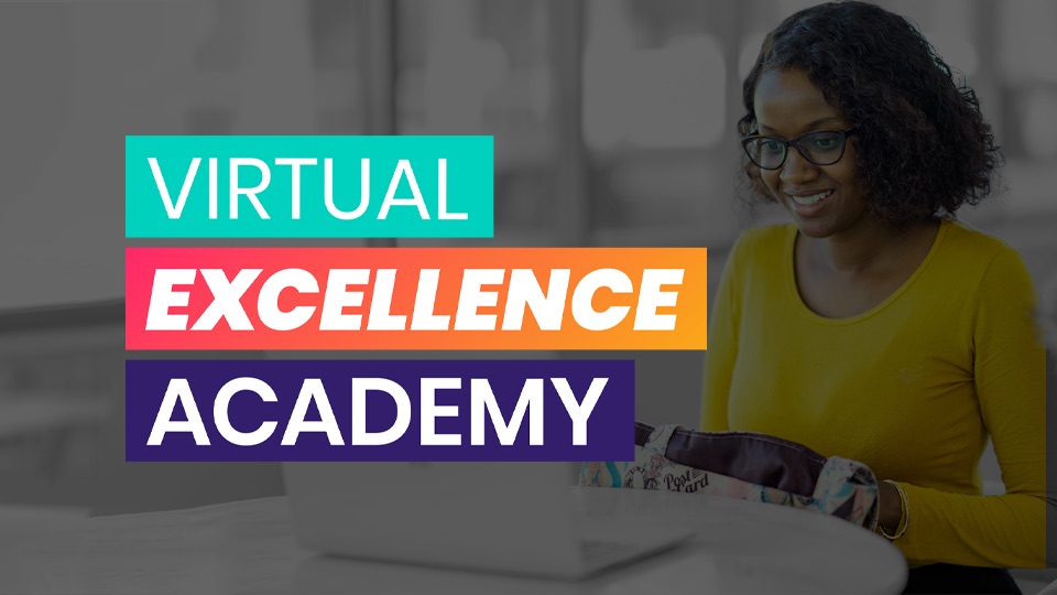 The Virtual Excellence Academy