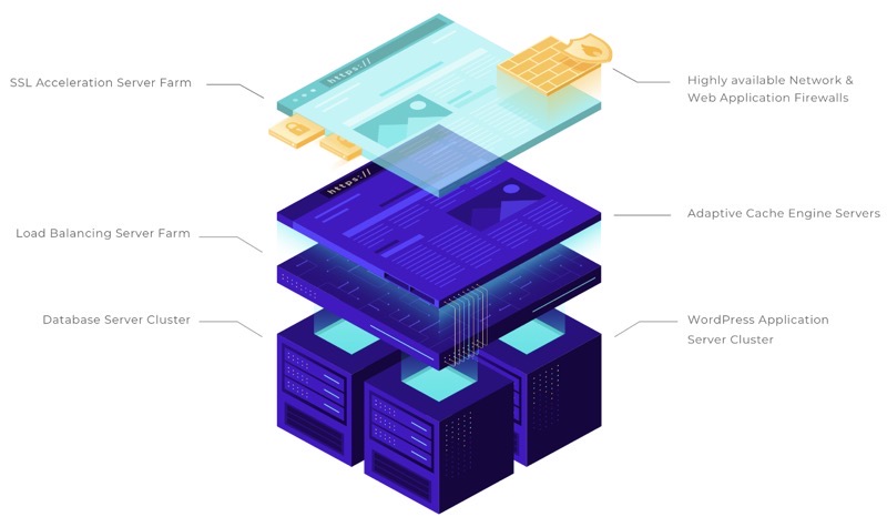 Kinsta stack