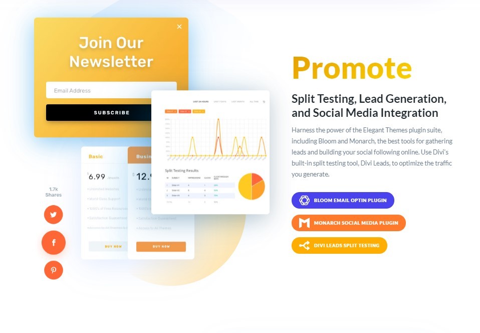 divi newsletter 