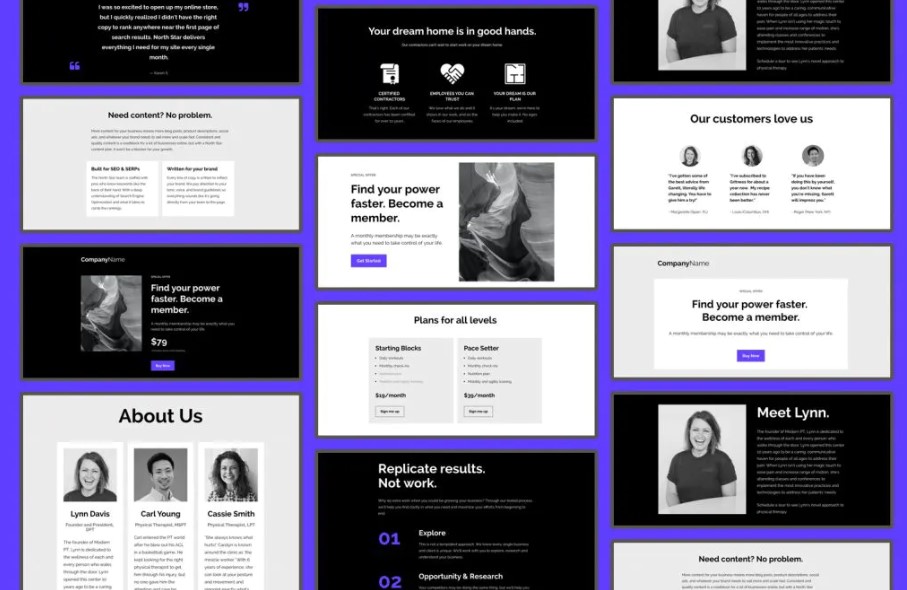 leadpages themes